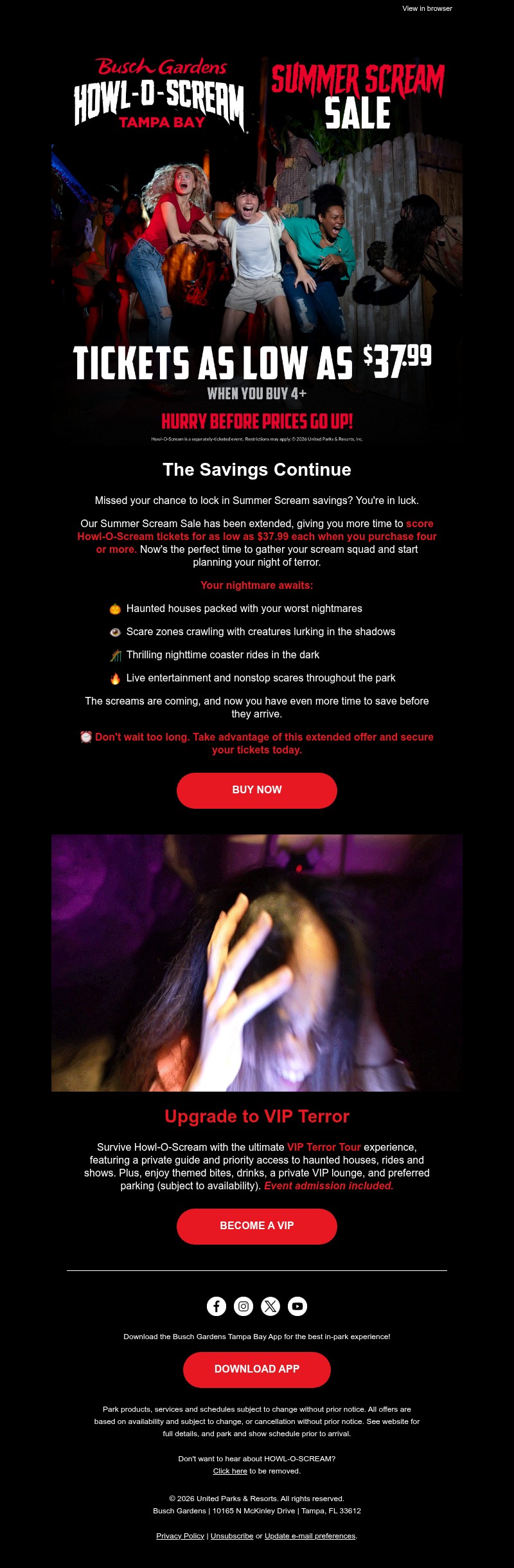 Screenshot of email with subject /media/emails/0d09819a-b733-44eb-936d-4a9629ab44ec.jpg