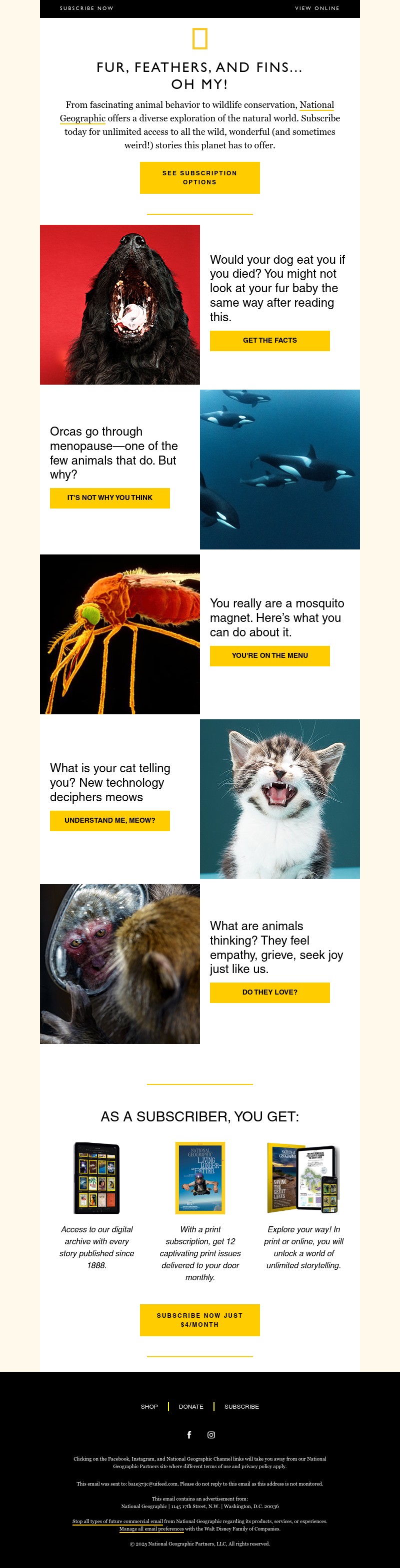 Screenshot of email with subject /media/emails/0ddf2634-a639-4227-bca0-03e16d8684ac.jpg
