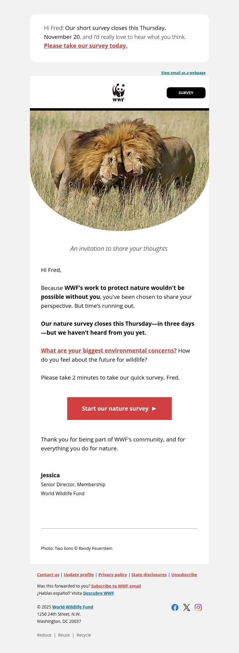 Screenshot of email with subject /media/emails/0e2eab3b-21f4-493d-ae0e-02392dee0cc1.jpg