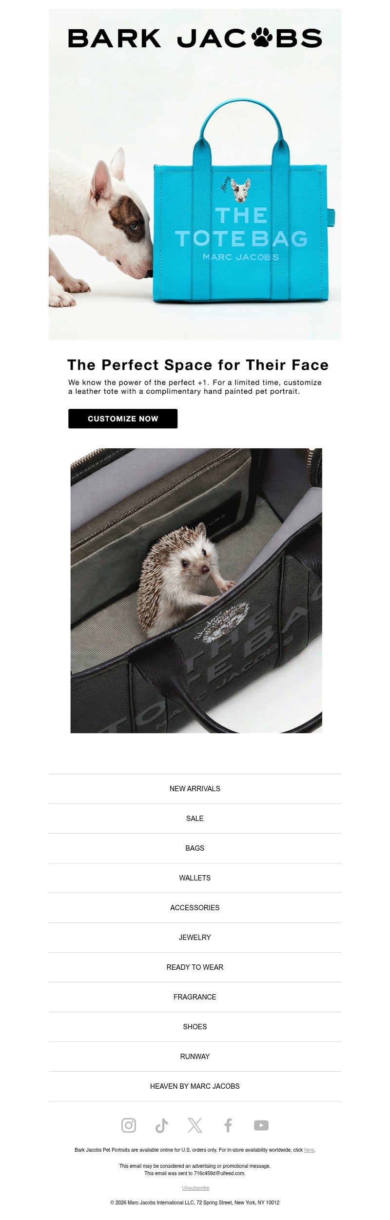 Screenshot of email with subject /media/emails/0ed0f5d7-73e6-461c-999a-8c251332e3ed.jpg