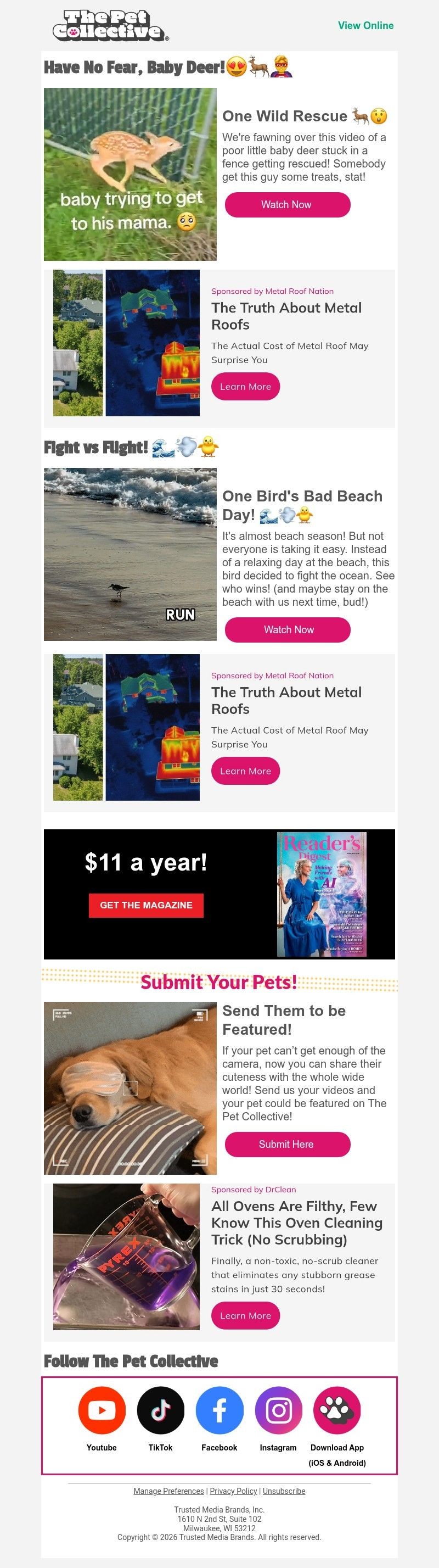 Screenshot of email with subject /media/emails/0fddc59c-11b4-4148-8743-fc89e8ed92f3.jpg
