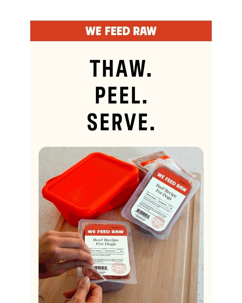 Screenshot of email with subject /media/emails/1-2-3-happy-pup-457d9d-cropped-eee3d35b.jpg