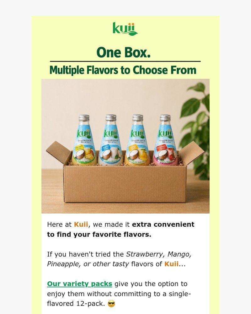 Screenshot of email sent to a Kuii Newsletter subscriber