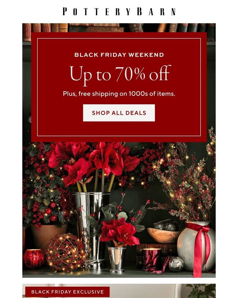 Screenshot of email with subject /media/emails/1-day-left-to-shop-black-friday-9cf313-cropped-415e1b98.jpg