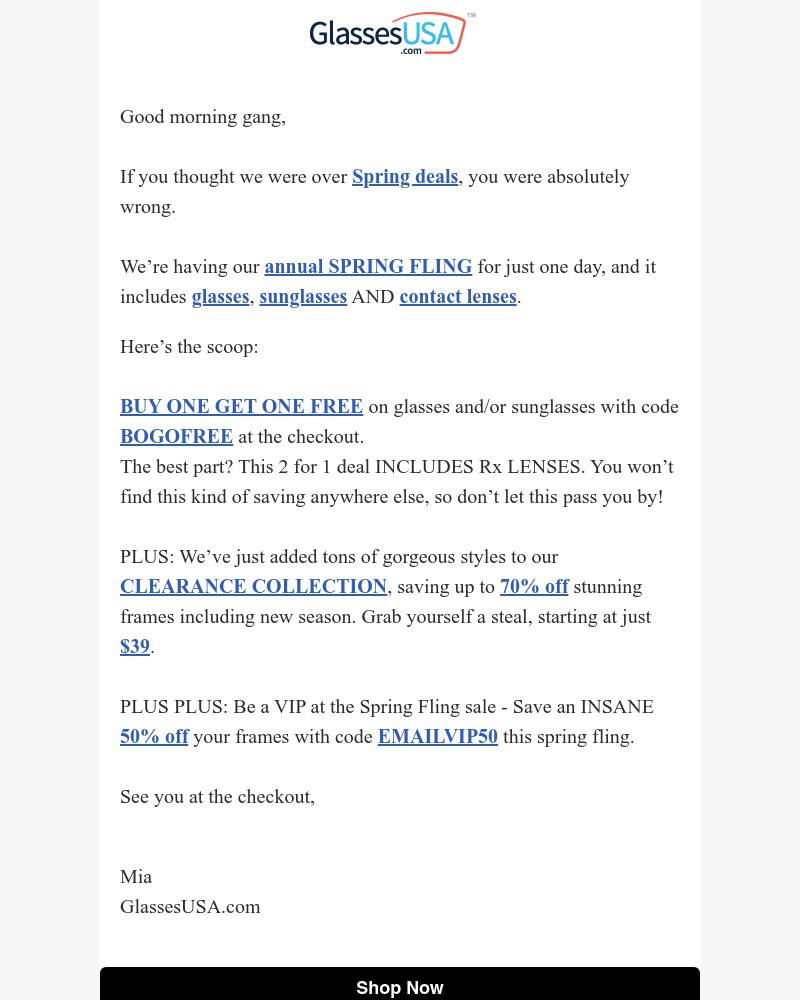 Screenshot of email with subject /media/emails/1-day-only-annual-spring-fling-sale-37aa0e-cropped-b1ec2aed.jpg
