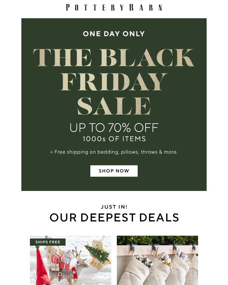 Screenshot of email with subject /media/emails/1-day-only-black-friday-is-here-3141ab-cropped-fa0bdbfb.jpg