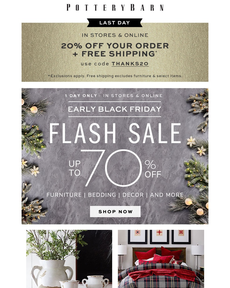 Screenshot of email with subject /media/emails/1-day-only-flash-sale-20-off-your-order-cropped-9d71e11d.jpg