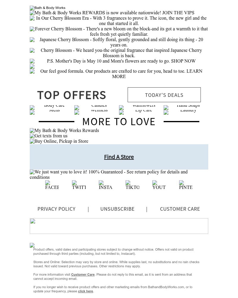 Screenshot of email with subject /media/emails/1-for-a-reason-happy-20th-to-japanese-cherry-blossom-our-forever-fave-818f00-crop_4DBsWus.jpg