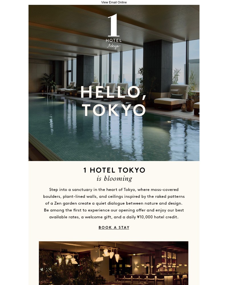 Screenshot of email with subject /media/emails/1-hotel-tokyo-is-now-blooming-daea86-cropped-8d3756c0.jpg