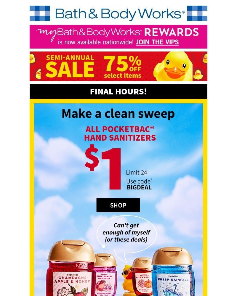 Screenshot of email with subject /media/emails/1-pocketbac-sanitizersfinal-hours-9a6ebe-cropped-6c740ca4.jpg