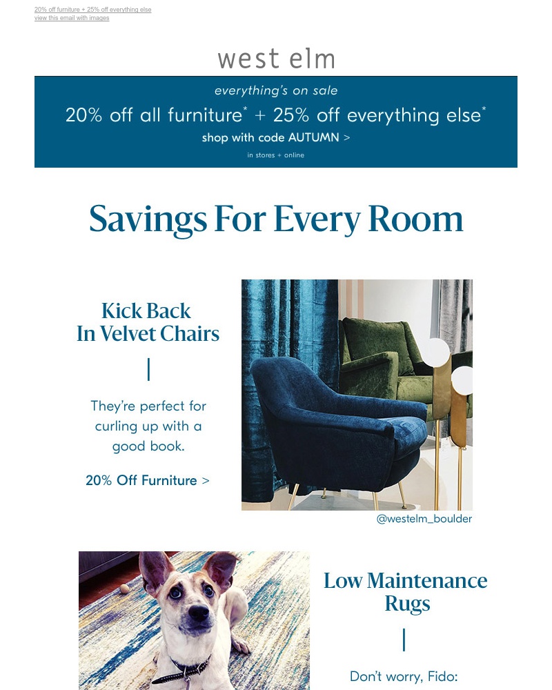 Screenshot of email with subject /media/emails/1-reason-to-get-to-your-store-everything-is-on-sale-cropped-16791595.jpg