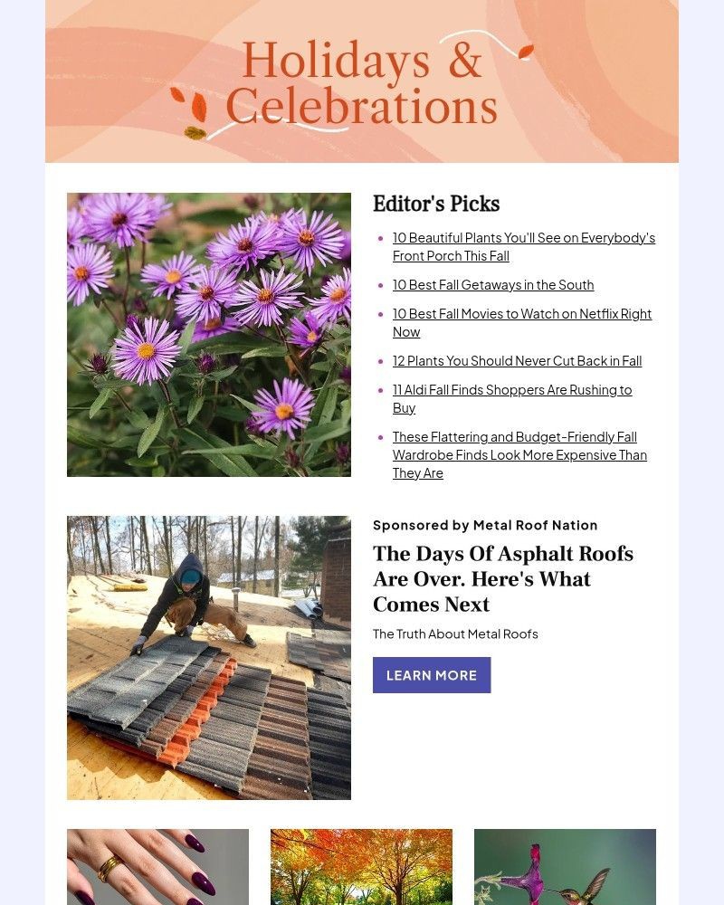 Screenshot of email with subject /media/emails/10-beautiful-plants-youll-see-on-everybodys-front-porch-this-fall-5b7c18-cropped-8b115ef2.jpg