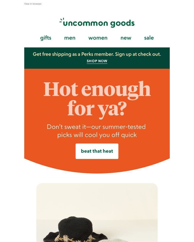 Screenshot of email with subject /media/emails/10-cool-finds-to-beat-the-summer-heat-632905-cropped-03a3e48b.jpg