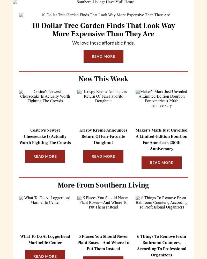 Screenshot of email with subject /media/emails/10-dollar-tree-garden-finds-that-look-way-more-expensive-than-they-are-dcb6e4-cro_CGBcVfr.jpg