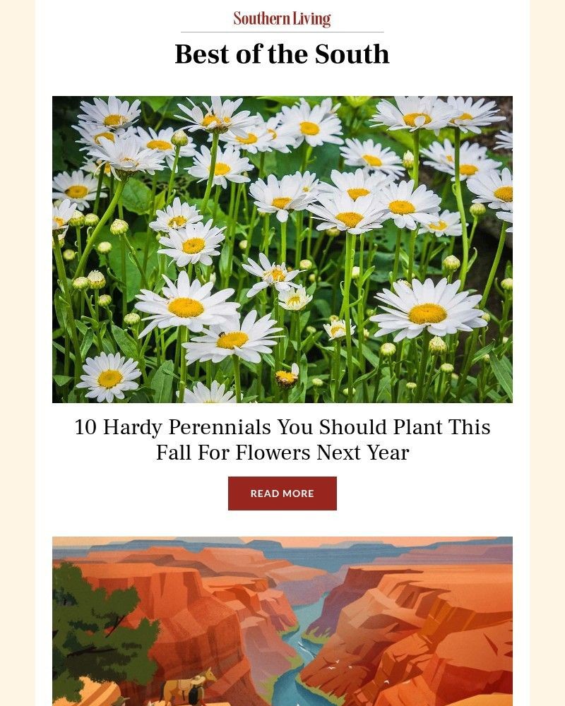 Screenshot of email with subject /media/emails/10-hardy-perennials-you-should-plant-this-fall-9de425-cropped-0d54f35b.jpg