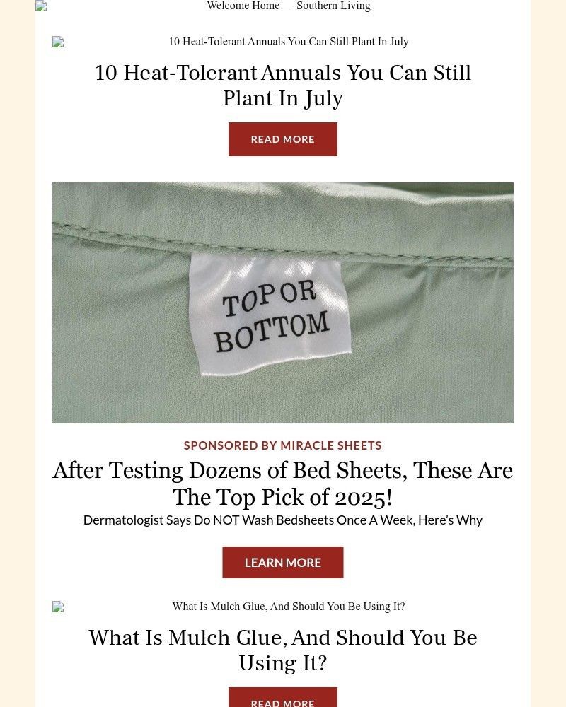 Screenshot of email with subject /media/emails/10-heat-tolerant-annuals-you-can-still-plant-in-july-d302c9-cropped-c1185f9e.jpg