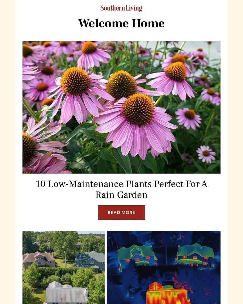 Screenshot of email with subject /media/emails/10-low-maintenance-plants-perfect-for-a-rain-garden-a53759-cropped-64099fc2.jpg
