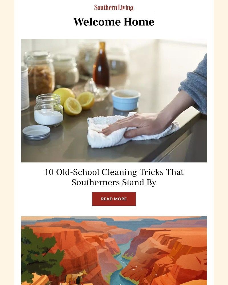 Screenshot of email with subject /media/emails/10-old-school-cleaning-tricks-that-southerners-stand-by-da126d-cropped-c8bbba65.jpg