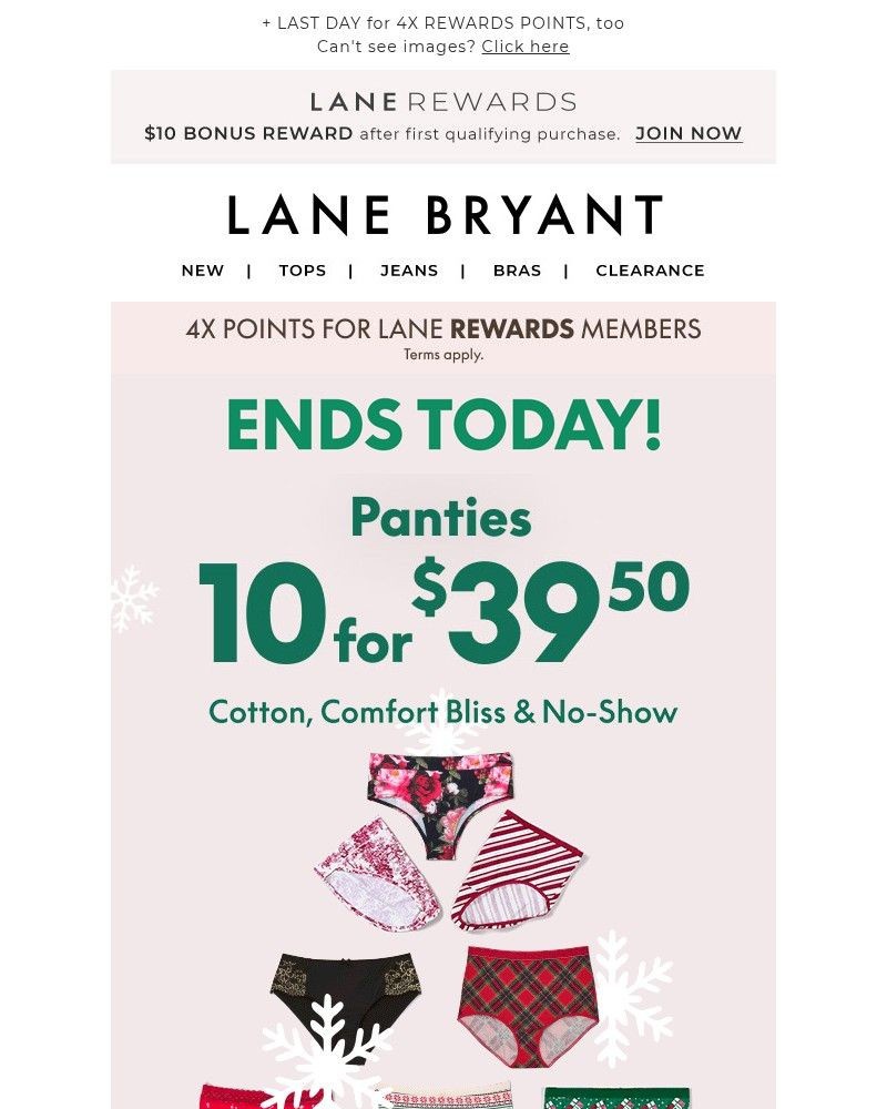 Screenshot of email sent to a Lane Bryant Newsletter subscriber