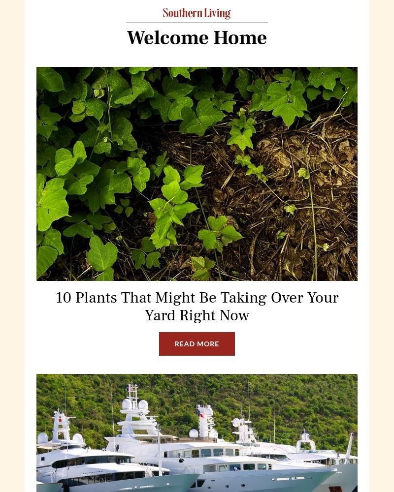 Screenshot of email with subject /media/emails/10-plants-that-might-be-taking-over-your-yard-5b8d0f-cropped-3b51b035.jpg