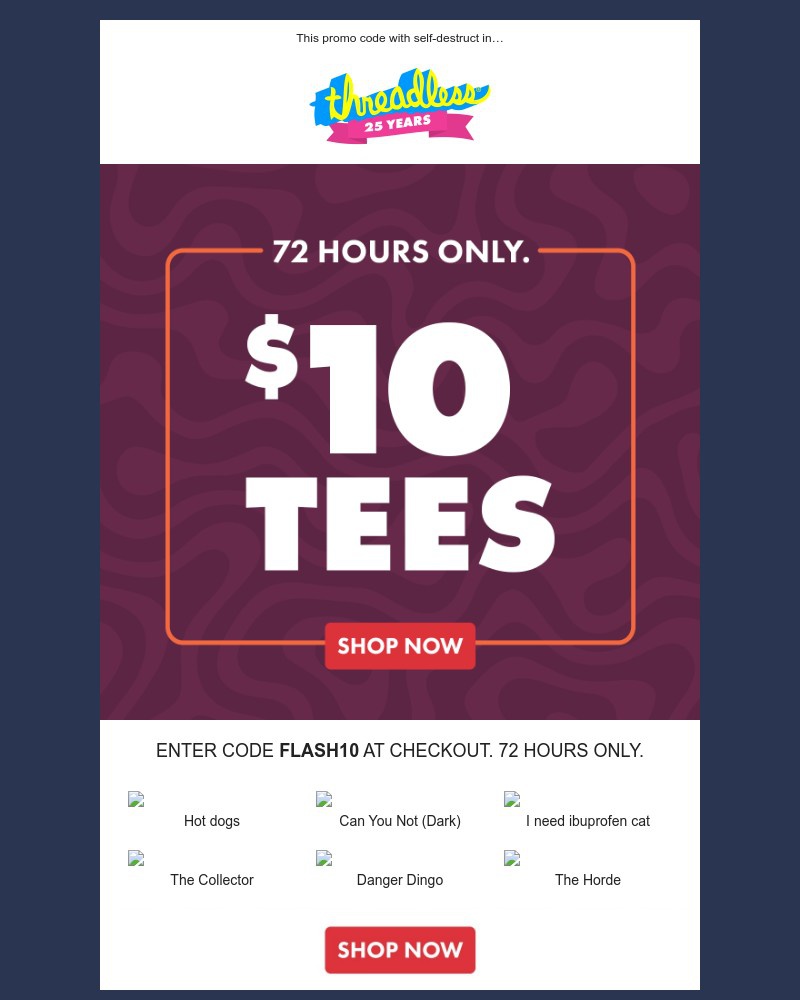 Screenshot of email with subject /media/emails/10-tees-you-have-72-hours-thats-it-e1ae64-cropped-ab4e547a.jpg