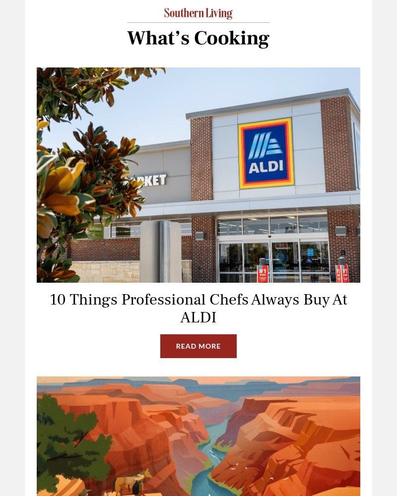 Screenshot of email with subject /media/emails/10-things-professional-chefs-always-buy-at-aldi-834163-cropped-e18b4caa.jpg