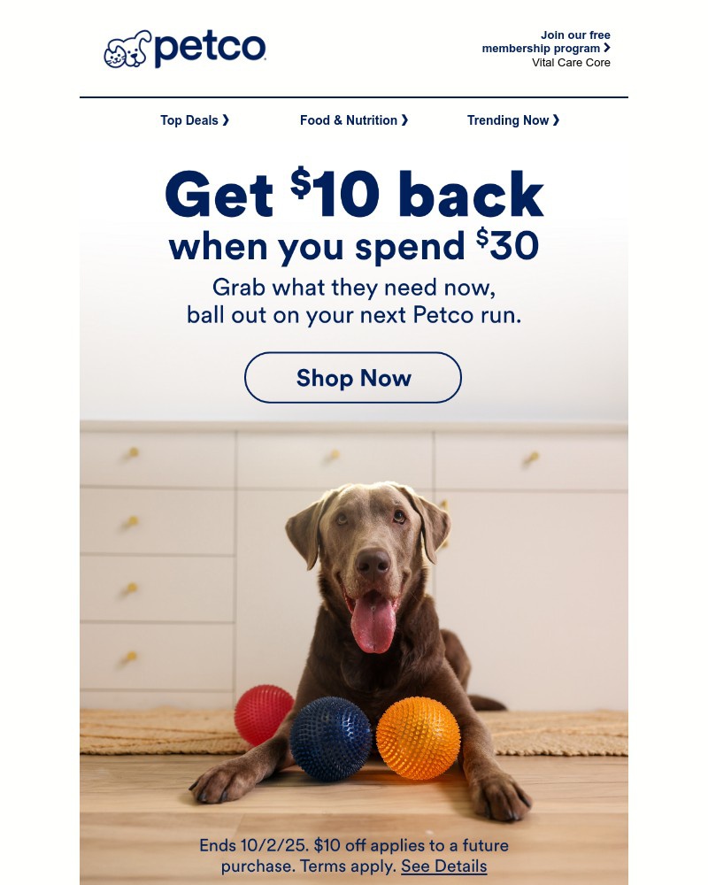 Screenshot of email with subject /media/emails/10-to-spend-on-what-they-want-yes-please-d40f05-cropped-56eb735f.jpg