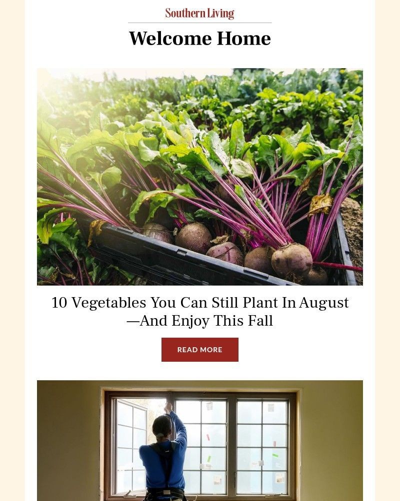 Screenshot of email with subject /media/emails/10-vegetables-you-can-still-plant-in-august-5f15ca-cropped-7288d859.jpg
