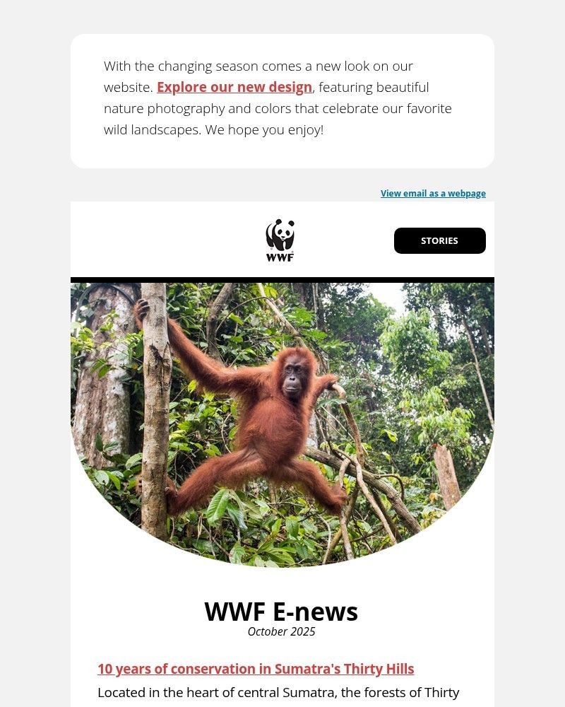 Screenshot of email with subject /media/emails/10-wins-for-people-and-nature-in-thirty-hills-e1068a-cropped-2a838f65.jpg