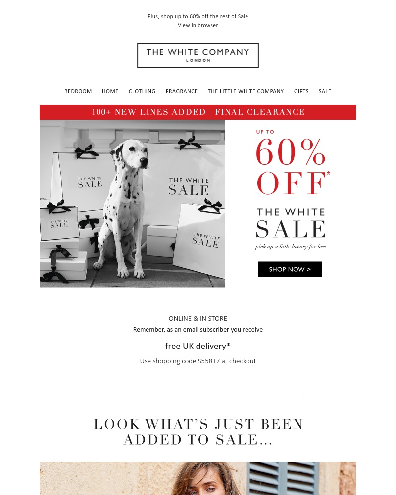 Screenshot of email with subject /media/emails/100-new-lines-added-to-sale-final-clearance-553318-cropped-7bc1a483.jpg