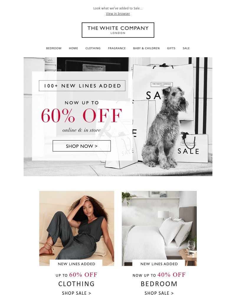 Screenshot of email with subject /media/emails/100-new-lines-added-to-sale-up-to-60-off-cf6ff6-cropped-b68c0d49.jpg