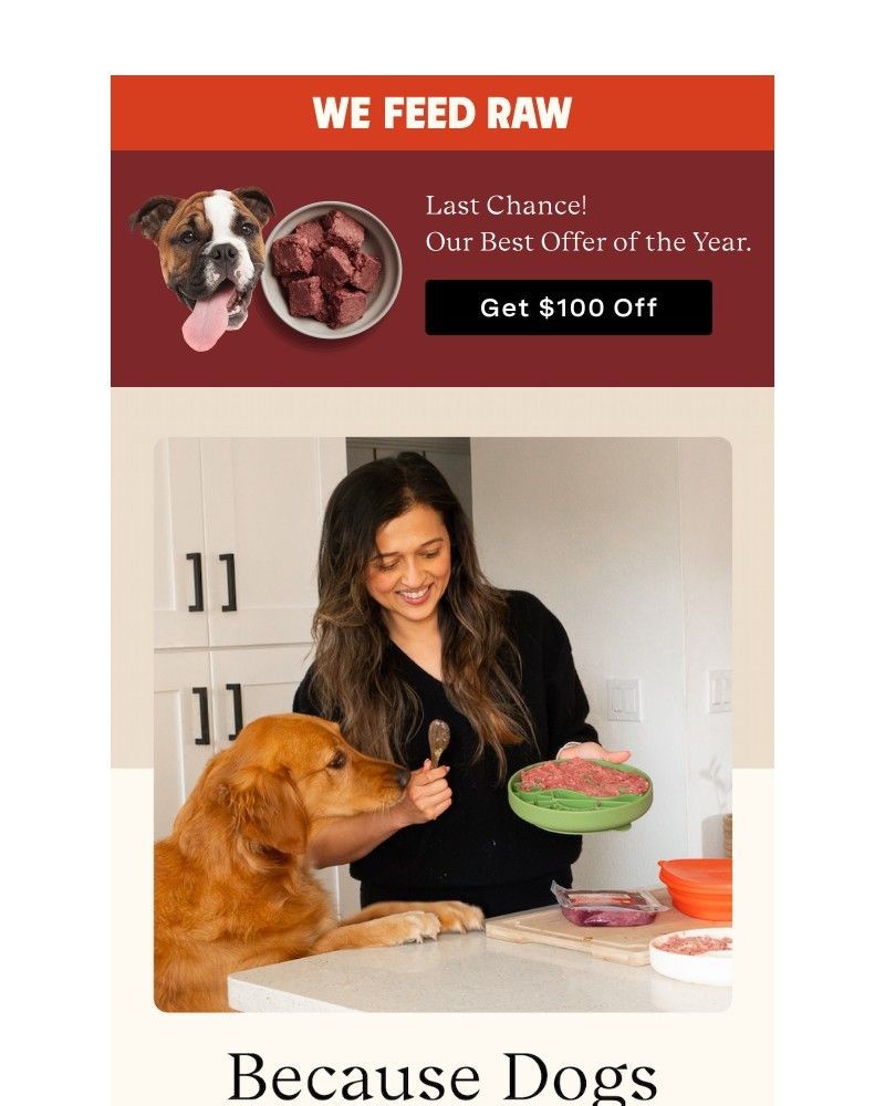 Screenshot of email with subject /media/emails/100-off-is-goinggoingalmost-gone-444107-cropped-4e6f6411.jpg