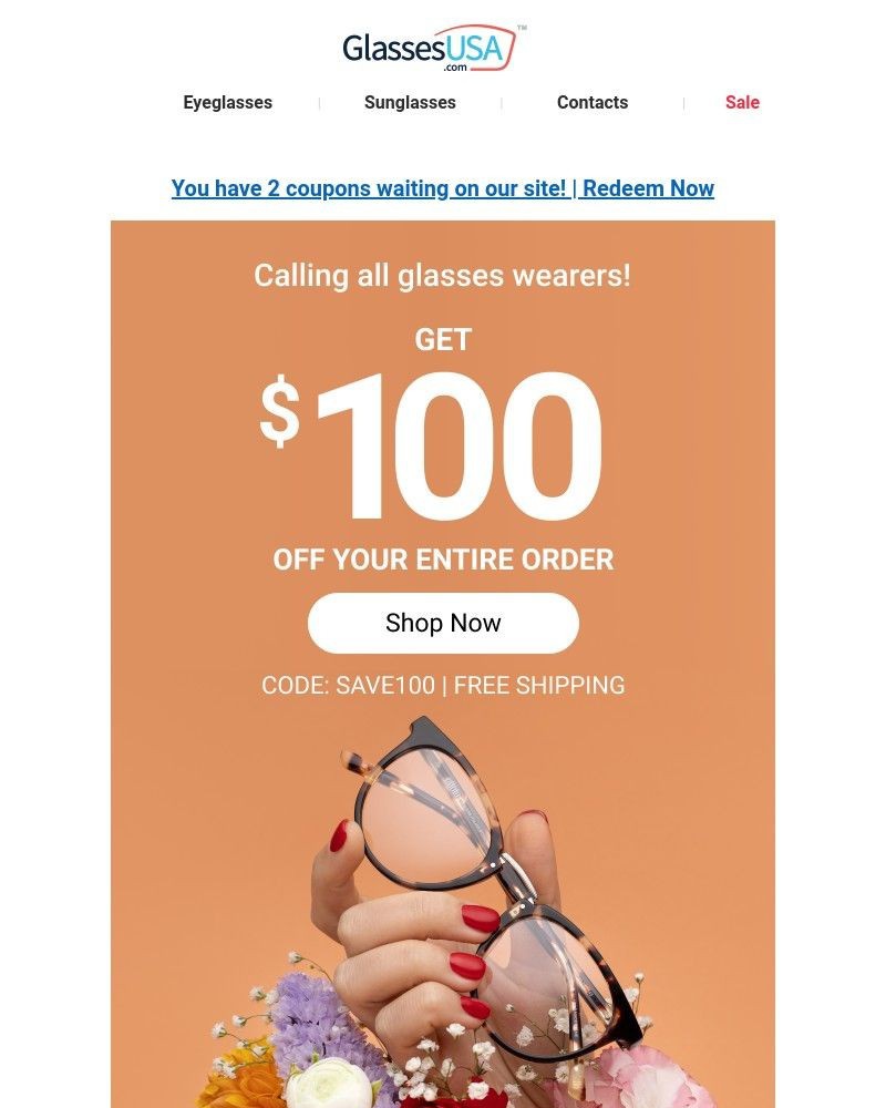 Screenshot of email with subject /media/emails/100-off-will-look-great-on-you-2d78b4-cropped-2ad9a4a4.jpg