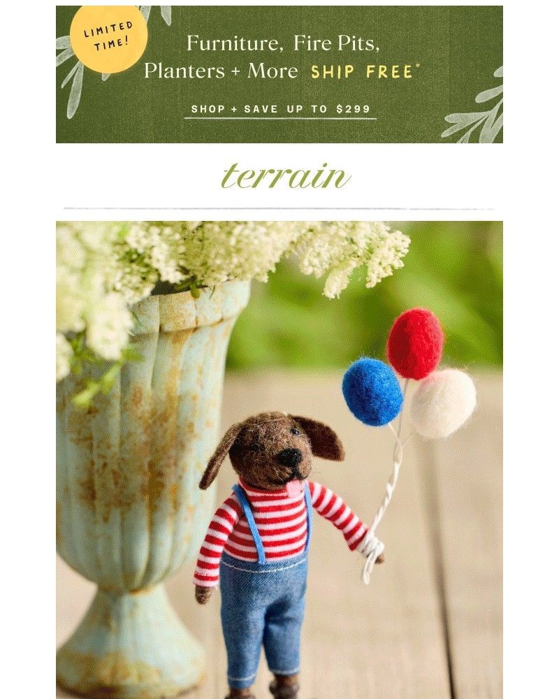 Screenshot of email sent to a Terrain Newsletter subscriber