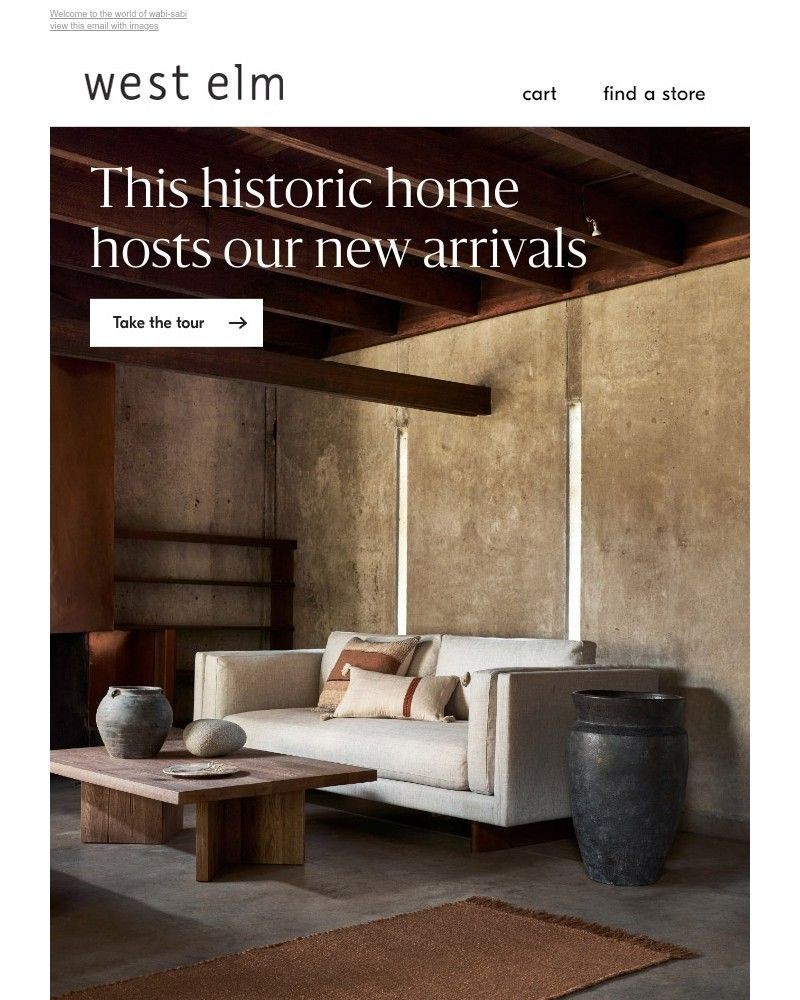 Screenshot of email with subject /media/emails/1000-new-arrivals-are-here-e21e11-cropped-2d058b86.jpg
