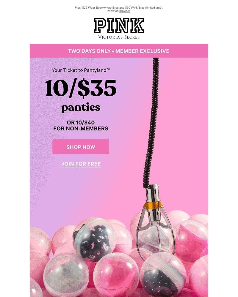 Screenshot of email with subject /media/emails/1035-panties-for-members-only-ced16f-cropped-4ff713c1.jpg