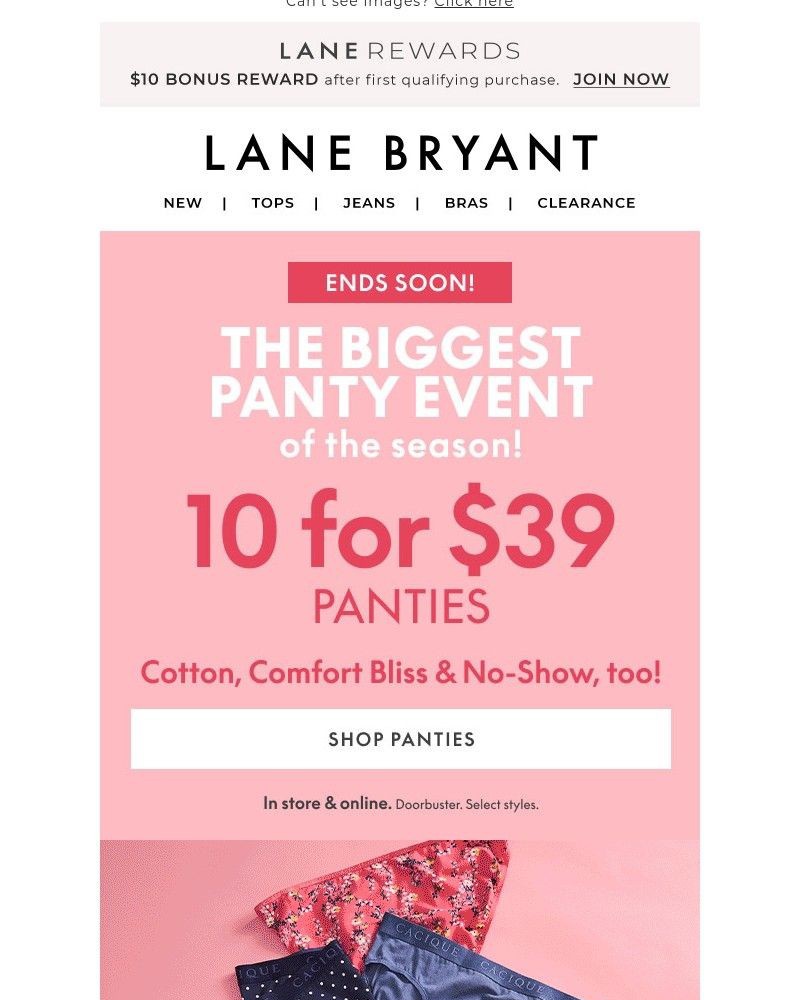 Screenshot of email with subject /media/emails/1039-panties-ends-soon-get-your-panty-party-on-1cb03e-cropped-f93a155a.jpg