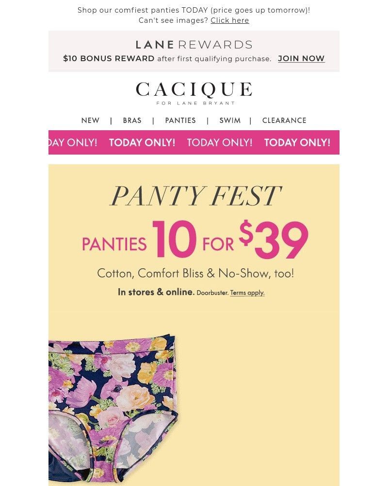 Screenshot of email with subject /media/emails/1039-panties-welcome-to-panty-fest-c3f053-cropped-1373466b.jpg