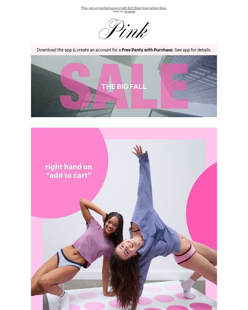 Screenshot of email with subject /media/emails/1040-panties-up-to-60-off-sale-3d6926-cropped-ab20278f.jpg