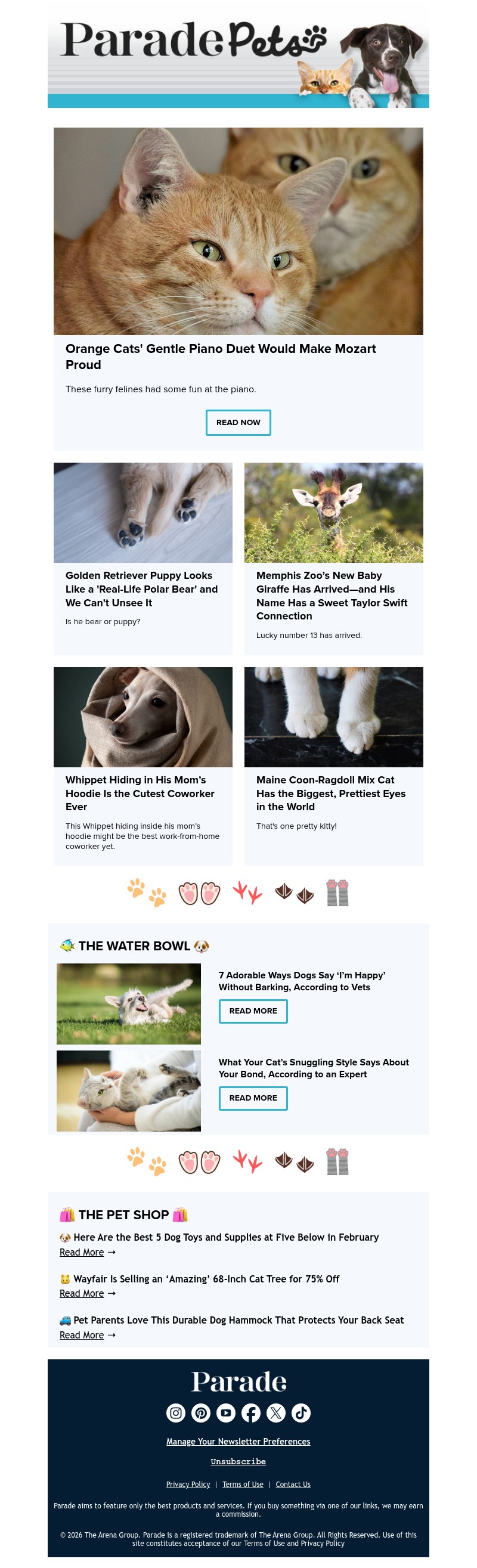 Screenshot of email with subject /media/emails/107550e4-4e9d-46bc-a62b-90b875831124.jpg