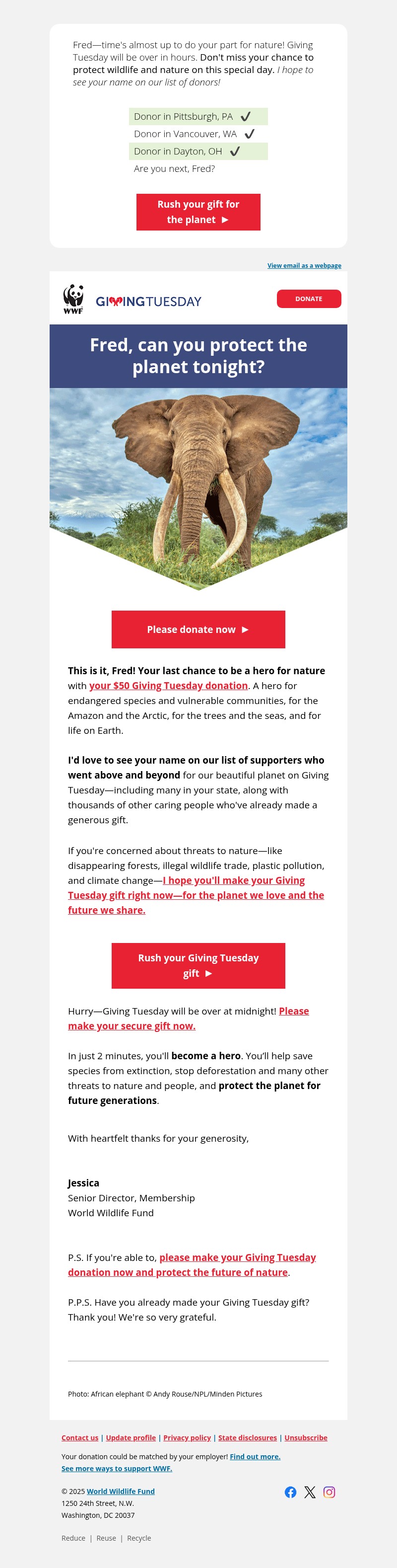Screenshot of email with subject /media/emails/10fe4882-0fc8-481c-8d15-8ed6c829d05d.jpg