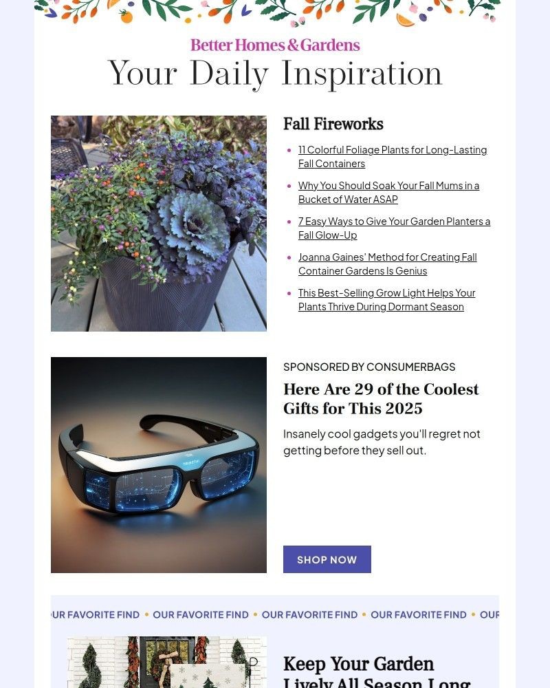 Screenshot of email sent to a Better Homes and Gardens Newsletter subscriber