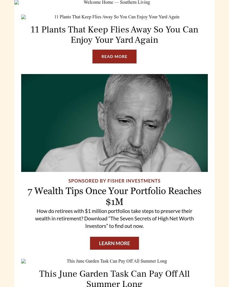 Screenshot of email with subject /media/emails/11-plants-that-keep-flies-away-so-you-can-enjoy-your-yard-again-c06dbb-cropped-6cb744f9.jpg