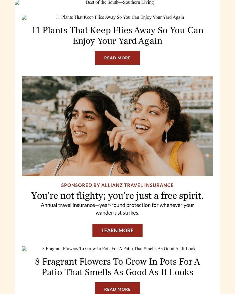 Screenshot of email with subject /media/emails/11-plants-that-keep-flies-away-so-you-can-enjoy-your-yard-again-f0f410-cropped-7e88e503.jpg