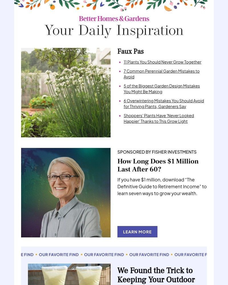 Screenshot of email with subject /media/emails/11-plants-you-should-never-grow-together-99ce81-cropped-c93306fb.jpg