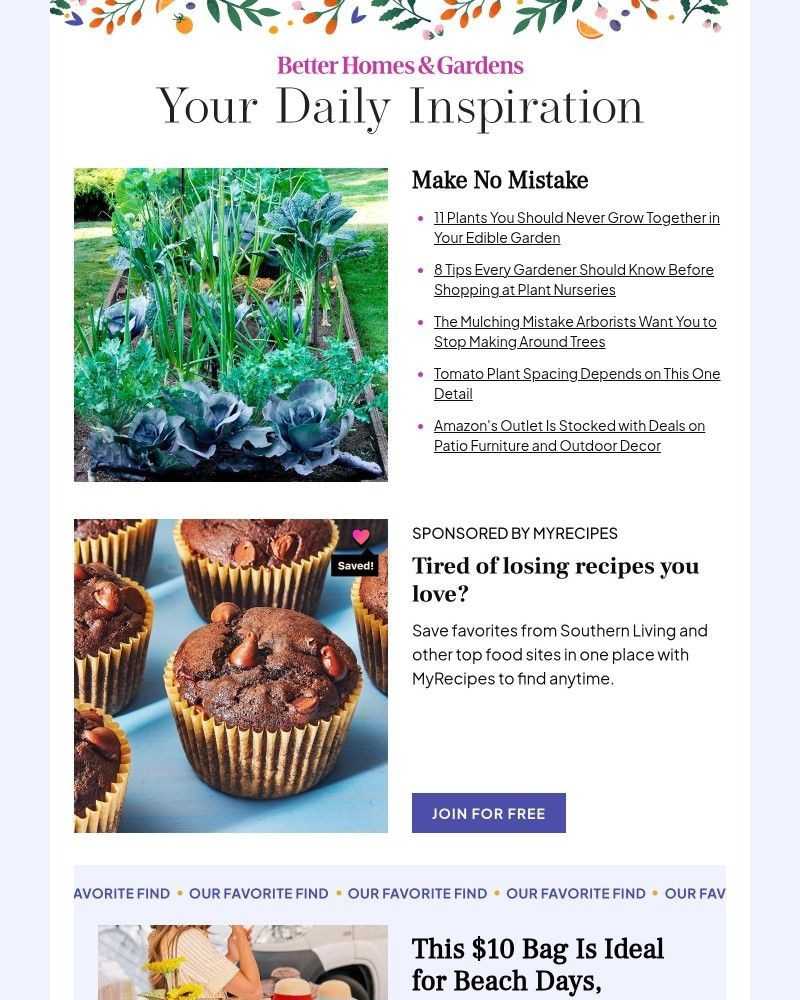 Screenshot of email with subject /media/emails/11-plants-you-should-never-grow-together-in-your-edible-garden-07b982-cropped-674f97bf.jpg