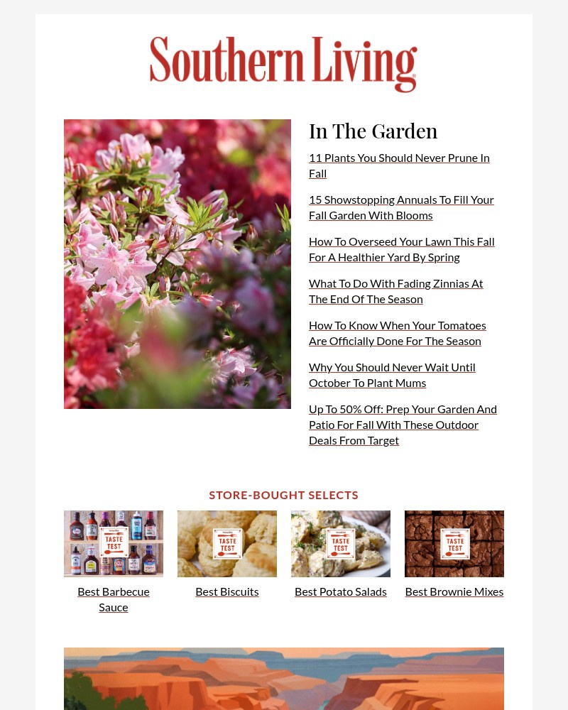 Screenshot of email with subject /media/emails/11-plants-you-should-never-prune-in-fall-257ea8-cropped-65ad4a6c.jpg