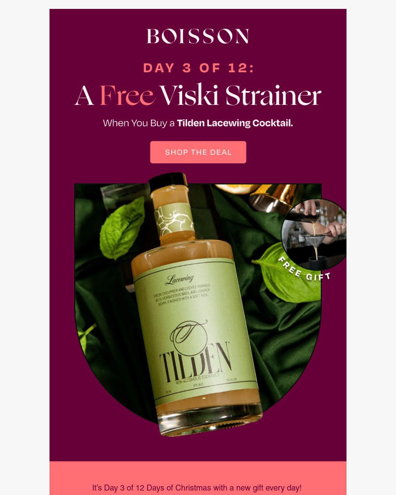 Screenshot of email sent to a Boisson Newsletter subscriber