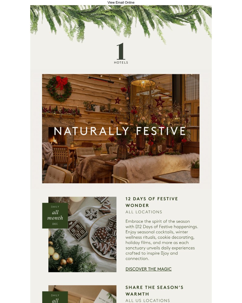 Screenshot of email sent to a 1 Hotels Newsletter subscriber