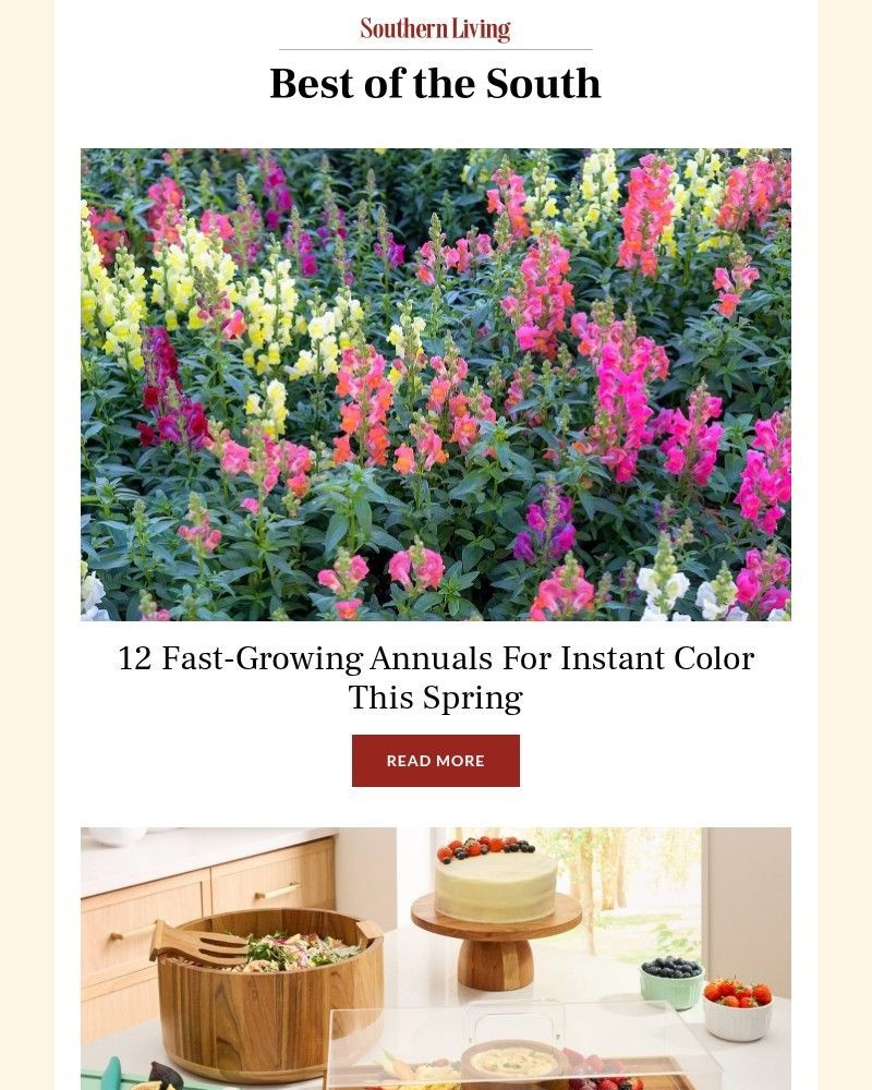 Screenshot of email with subject /media/emails/12-fast-growing-annuals-for-instant-color-this-spring-2634c9-cropped-2245ae59.jpg